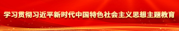 视频图片男人操女人的逼学习贯彻习近平新时代中国特色社会主义思想主题教育